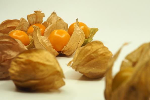 High-quality cape gooseberry in India for sale 